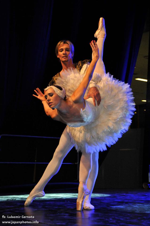 14991876 - Dance Life Expo Brno 2016