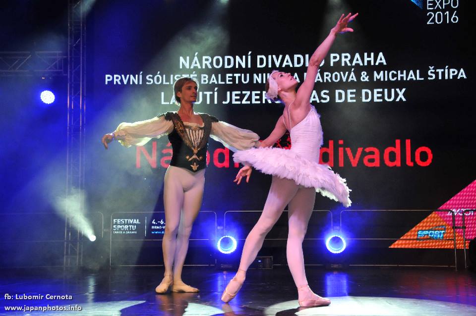15109443 - Dance Life Expo Brno 2016